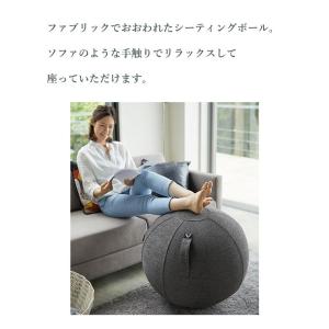 VIVORA (ヴィヴォラ) シーティングボー...の詳細画像2