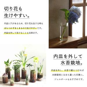 SPICE OF LIFE(スパイス) 水替え...の詳細画像1