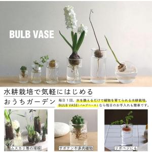 SPICE OF LIFE(スパイス) 水替え...の詳細画像3