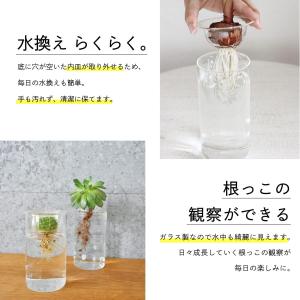 SPICE OF LIFE(スパイス) 水替え...の詳細画像4