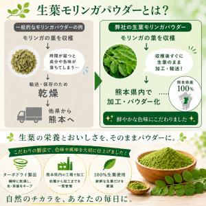 生モリンガ パウダー 国産 95g 熊本県産1...の詳細画像4