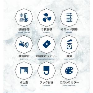 LIZDAYS 2025 ハンディファン 静音...の詳細画像3
