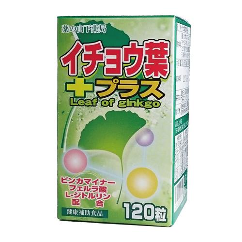 イチョウ葉プラス 120粒 イチョウ葉エキス いちょう葉エキス 銀杏葉エキス L-シトルリン