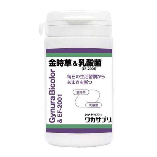 ワカサプリ 金時草＆乳酸菌 90粒 アントシアニン ビタミンA ビタミンC カルシウム ギャバ ホワ...