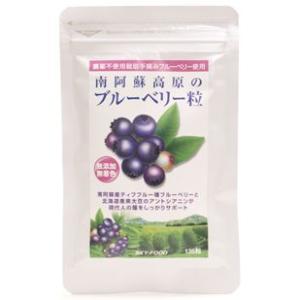 スカイフード sky-food 南阿蘇高原のブルーベリー粒 クリスマス ギフトに プレゼントに