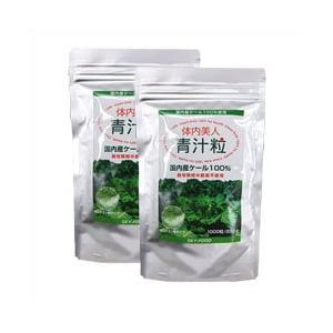 体内美人 青汁粒 1000粒 ×2パック アルミパック スカイフード 青汁 国産ケール 国内産ケール