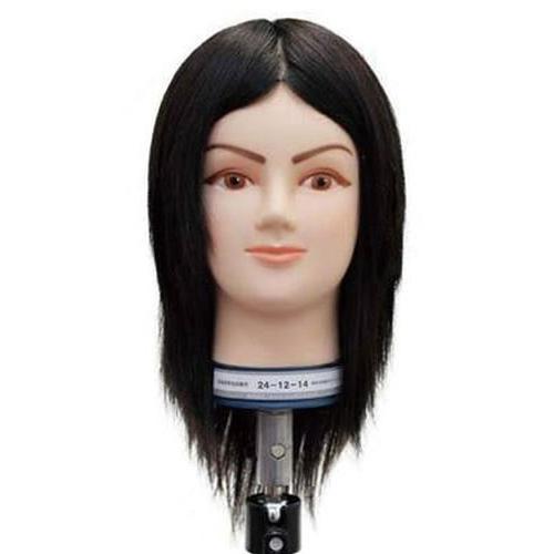 カットマネキン 24-12-14  国家試験用マネキン クリスマス ギフトに プレゼントに