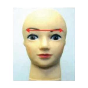 REAL110  CUT WIG クリスマス ギフトに プレゼントに