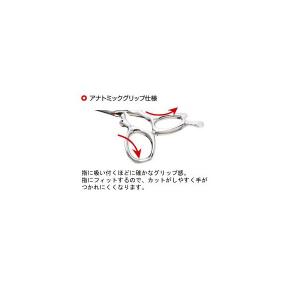 HIKARI 光 B-DAY COSMOS ビ...の詳細画像2
