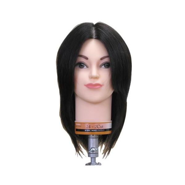 24-2Cut　 カットウィッグ　カットスタイル専門モデル　　 爆買