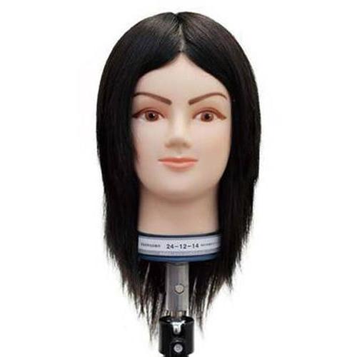 レジーナ  国家試験用マネキン  24-12-14 クリスマス ギフトに プレゼントに