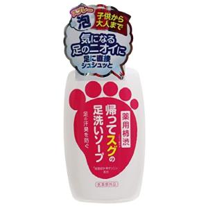 マックス 薬用柿渋 帰ってスグの足洗いソープ 250ミリリットル (x 1)