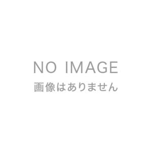 ディズニー・ロルカナ・トレーディングカードゲーム オフィシャル コレクターズ ガイド Sets 5-8 プロモカード付