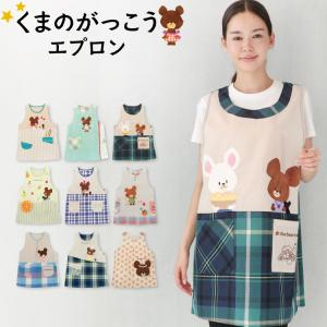 エプロン 保育士 キャラクター エプロン くまのがっこう ジャッキー 刺繍 アップリケ付き チェック シワになりにくい ノーアイロン x12-ja43676all