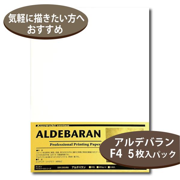 オリオン アウスバール アルデバラン F4 5枚入 AAB-F4 250g 版画紙 画用紙 お絵描き...