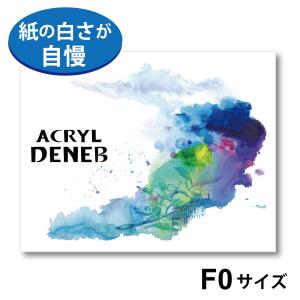 スケッチブック アクリルデネブ  ブロック AD-F0  No.856  鮮やかな絵具の発色オリオン
