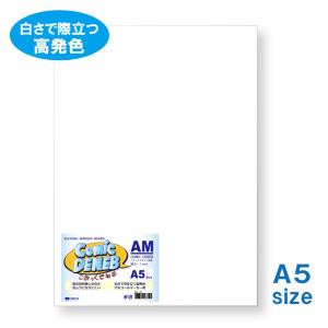 ORION イラストボード こみっくでねぶ ボード 両面極細目 1mm10枚入 A5