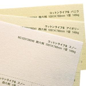 コットンライフS 146kg A5/50枚入 ...の詳細画像2