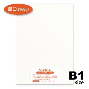 オリオン シリウス水彩紙 B1 50枚入 厚口 選べるサイズ 168g 画用紙 水彩 色鉛筆｜ORION SHOP