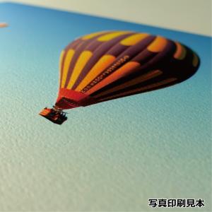 インクジェット用紙 シリウスIJ 185g 2...の詳細画像5