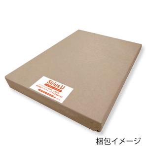 インクジェット用紙 シリウスIJ 185g ハ...の詳細画像1