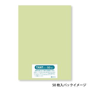 タント 100kg A4/55枚入 <選べる5...の詳細画像1