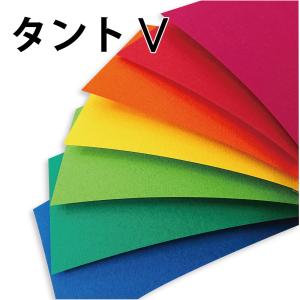 タント 紙　A4 パック　Vivid（ヴィヴィッド）5枚入 いろがみ