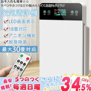 空気清浄機 花粉対策 コンパクト おすすめ 30畳対応