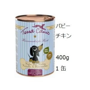 テラカニス パピー チキンとかぼちゃ 400gx1缶 賞味期限2026.02.01