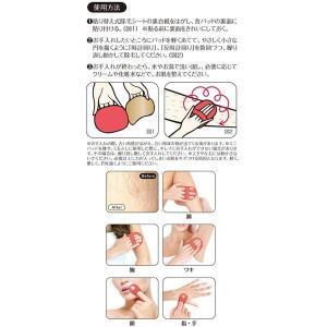 除毛 除毛専用パッド 痛くない♪ 500 ポイ...の詳細画像1