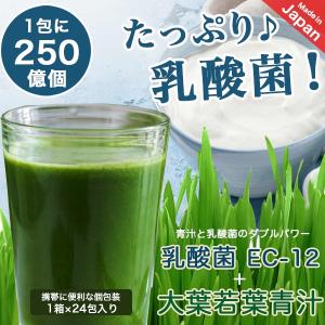 青汁 乳酸菌250億個含有 500ポイント消化 大麦若葉青汁 大葉若葉 置き換えダイエット 24包×1 オープン記念 セール 送料無料