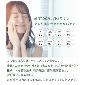 月桃ソープ 120g 無添加 固形石鹸 コール...の詳細画像2