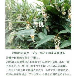 月桃ソープ 120g 無添加 固形石鹸 コール...の詳細画像3