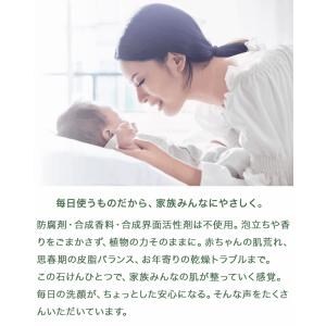 月桃ソープ 120g 無添加 固形石鹸 コール...の詳細画像4