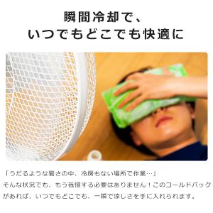 冷却パック アイスパック コールドパック 8個...の詳細画像3