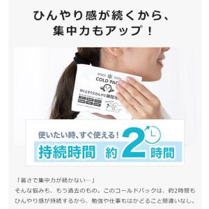 冷却パック アイスパック コールドパック 8個...の詳細画像4