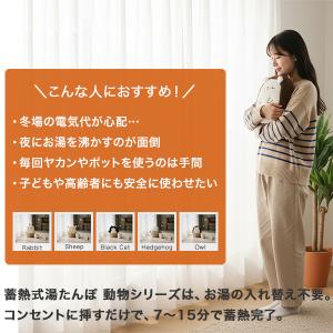 湯たんぽ 充電式 コードレス お湯不要 蓄熱式...の詳細画像1