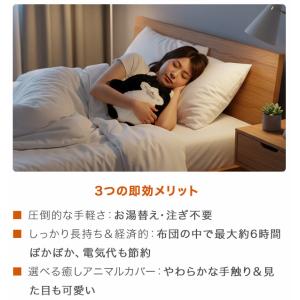 湯たんぽ 充電式 コードレス お湯不要 蓄熱式...の詳細画像2