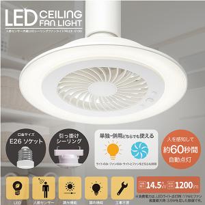 シーリングファンライト LED 人感センサー E26 引掛けシーリング 工事