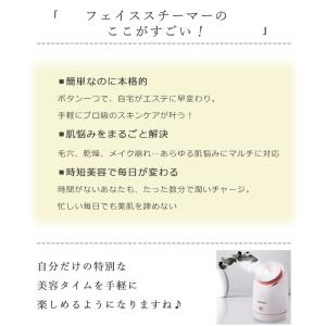 スチーマー フェイススチーマー 美顔器 ミスト...の詳細画像2