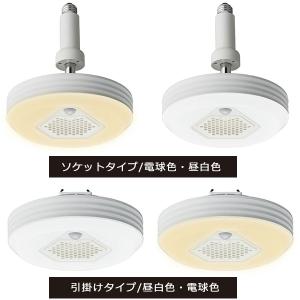 天井照明 ライト 電球 オゾン発生器搭載小型ライト ドウシシャ オゾフル ソケットタイプ 引掛けタイプ 小型LEDシーリングライト 人感センサー 電球色 昼白色 led