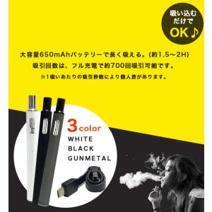 互換バッテリー スターターキット MASTER...の詳細画像1
