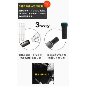 互換バッテリー スターターキット MASTER...の詳細画像3