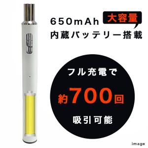 互換バッテリー スターターキット MASTER...の詳細画像5