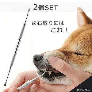 犬 スケーラー 歯石取り ペンチ 器具 ペット用 デンタルケア