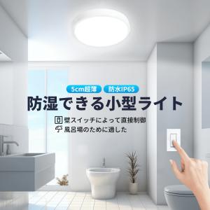 浴室照明 バスルームライト 丸型 ip65 防湿・防雨型 天井直付型