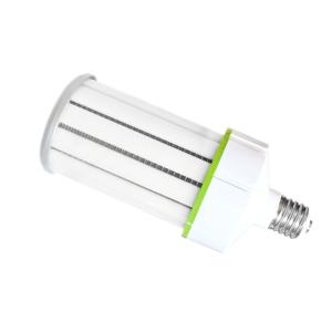 Panasonic（パナソニック） NNN17513KLE9+NNN89991（NNN17513K LE9+