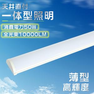 TOSHIBA（東芝） 蛍光灯安定器◇インバーター◇40W*2灯 電圧フリー
