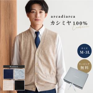 ベスト メンズ カシミヤ 100% 前開き Vネック M〜3L ニット トップス カシミヤ100% ...