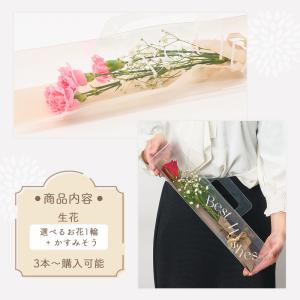 1輪とかすみそうのブーケ 3本から購入可能 選...の詳細画像2